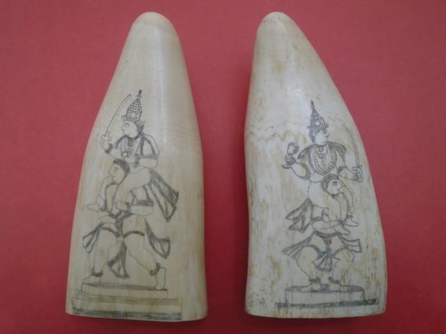 19th Century Matched Large Set Polychrome Sperm Whale's Teeth item as1932