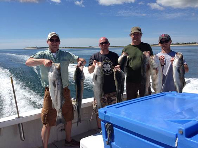 Cod Fishing At Cape Cod: Cod Charters With Big Fish II